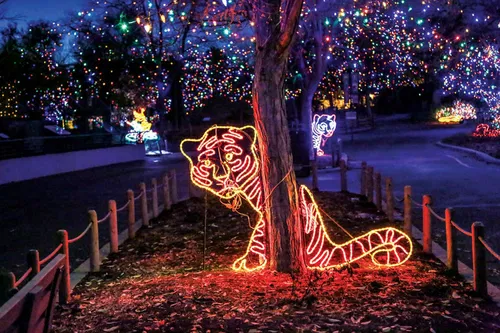 Image taken from https://res.cloudinary.com/luxuryp/images/f_auto,q_auto/hcuapf1hiximmttfxetb/denver-zoo-lights-holiday-events-2022