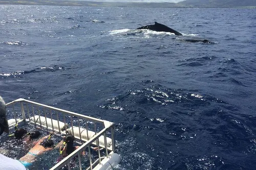 Image taken from https://dyvarcitymedia.b-cdn.net/experience-images/diskovery_8bdf28d2abfe3f817f1f319e2_1751627040296_a1.jpg?format=webp&amp;width=800