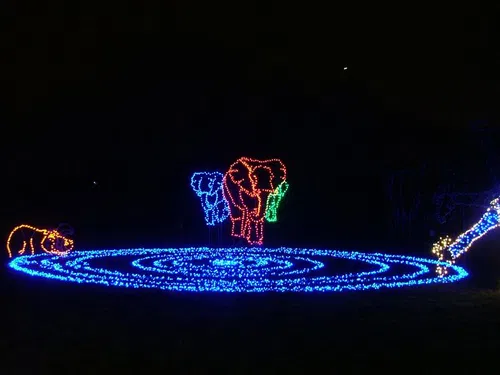 Image taken from https://i.pinimg.com/736x/15/8b/bd/158bbd3650ce21fa7d06a9f355eac3a8--zoo-lights-bus-ride.jpg