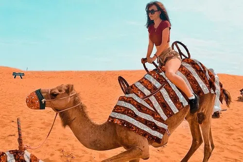 Image taken from https://images.dyvarcity.com/experience-images/dyvarcity_54187a9483472b1eba81da97f_d6.jpg