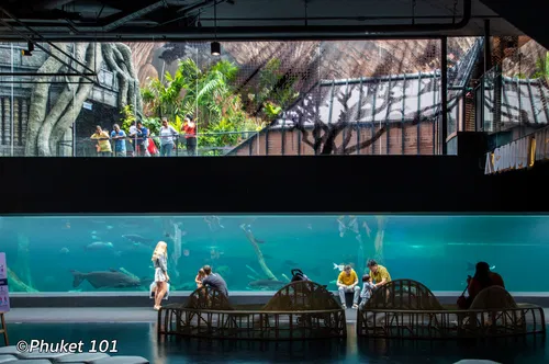 Image taken from https://content.phuket101.net/wp-content/uploads/20190902075307/phuket-aquaria.jpg