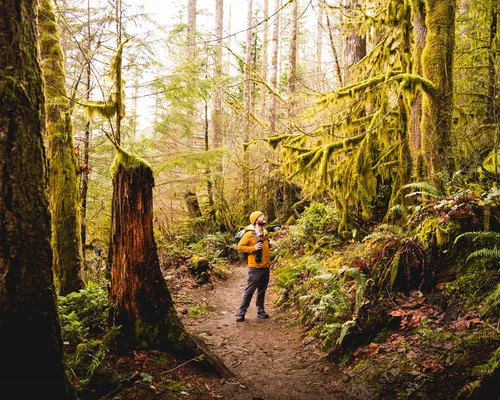 Image taken from https://uprootedtraveler.com/wp-content/uploads/rattlesnake-ledge-trail-rattlesnake-ledge-hike-near-seattle-5.jpg