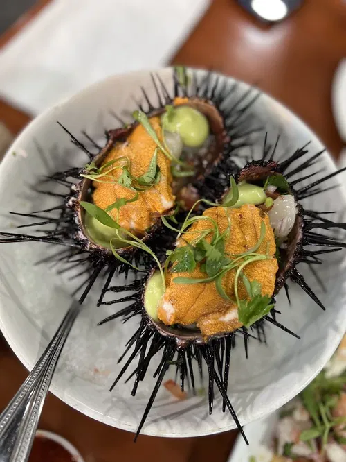 Image taken from https://s3-media0.fl.yelpcdn.com/bphoto/McBflvxephYn8tSRrtwUhQ/o.jpg