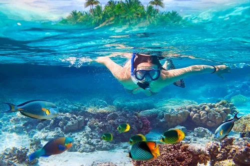 Image taken from https://caribbeantourservice.com/wp-content/uploads/2022/05/Snorkeling.jpg