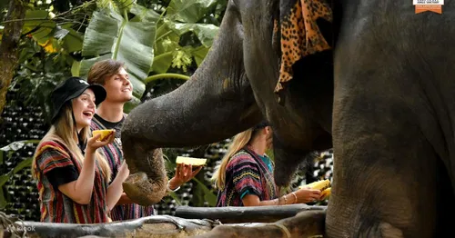 Image taken from https://res.klook.com/images/fl_lossy.progressive,q_65/c_fill,w_1200,h_630/w_80,x_15,y_15,g_south_west,l_Klook_water_br_trans_yhcmh3/activities/tcsefyxxfgsms2zl7hwm/Elephant%20Jungle%20Sanctuary%20Phuket%20Experience.jpg