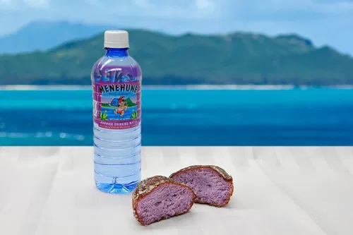 Image taken from https://dyvarcitymedia.b-cdn.net/experience-images/diskovery_77572295cd7d9b097c92f2b31_1751621466077_bb.jpg?format=webp&amp;width=800