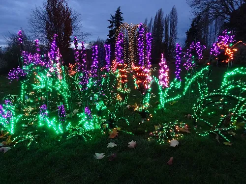 Image taken from https://bellevuebotanical.org/wp-content/uploads/2018/10/Garden-dLights-LOWER.jpg