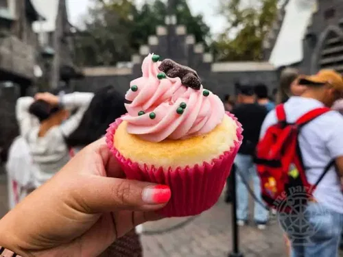 Image taken from https://i0.wp.com/www.themeparklovers.com/wp-content/uploads/2022/08/Universal-Studios-Hollywood-Honeydukes-103617.jpg?resize=600%2C450&amp;ssl=1
