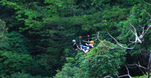 Image taken from https://flyinghanuman.com/wp-content/uploads/2019/02/FLy.jpg