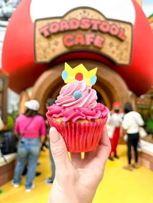 Image taken from https://formotherhoodmeasure.com/wp-content/uploads/2023/02/IMG_3891-768x1024.jpg