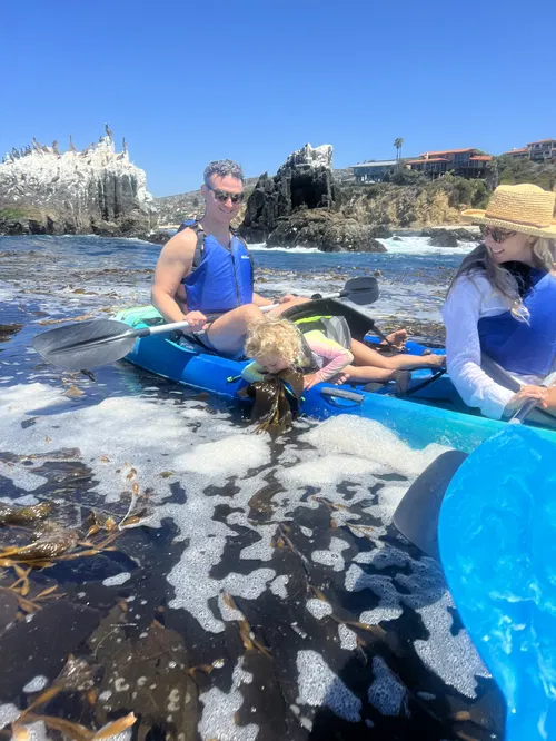 Image taken from https://images.squarespace-cdn.com/content/v1/5e0e6eed4917f331ec6d4ac1/78c4455a-c4a3-41af-a3ed-ba59812574d5/KayakingLagunaBeach.JPG?format=2500w