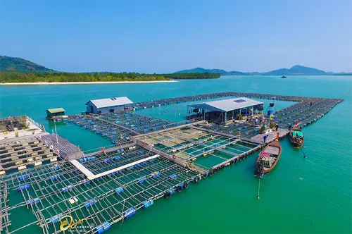 Image taken from https://phuketpearl.com/wp-content/uploads/2023/12/Pearl_Farm-7-1.png