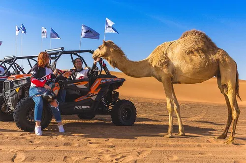 Image taken from https://images.dyvarcity.com/experience-images/dyvarcity_ada7e3f98748d8108a87c8fdf_ca.jpg