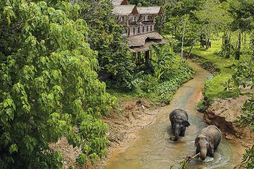 Image taken from https://images.dyvarcity.com/experience-images/dyvarcity_e48fec029b7147f69c90fe3a7_89.jpg