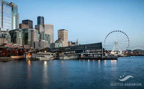 Image taken from https://s.hdnux.com/photos/62/41/45/13244763/3/1200x0.jpg