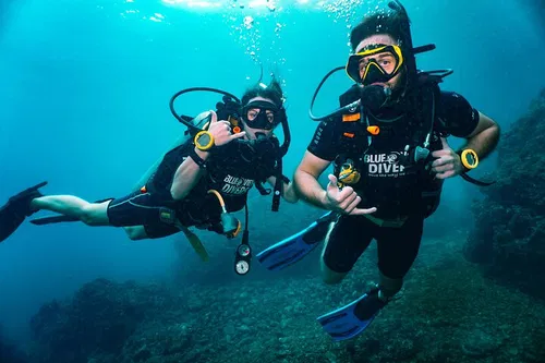 Image taken from https://images.dyvarcity.com/experience-images/dyvarcity_806bc3fe9d37ec0630770af7c_b1.jpg