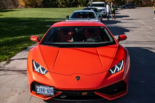 Image taken from https://dyvarcitydevmedia.b-cdn.net/experiences-images/dyvarcity_img_29ea6f105a0020eaf857e61b0_1741656399967_d8.jpg?format=webp&amp;width=800