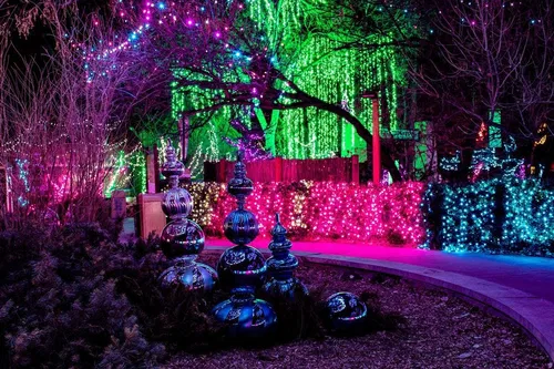 Image taken from https://img1.10bestmedia.com/Images/Photos/383328/Zoo-Lights-at-the-Denver-Zoo_54_990x660.jpg