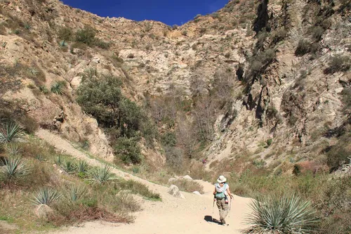 Image taken from https://images.world-of-waterfalls.com/Eaton_Canyon_022_02042012.jpg