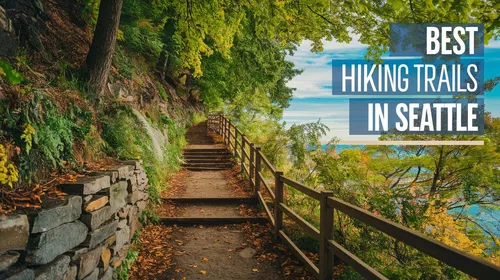 Image taken from https://www.bestinhood.com/wp-content/uploads/2024/12/Best-Hiking-trails-in-Seattle.jpg