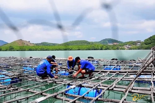 Image taken from https://phuketpearl.com/wp-content/uploads/2023/12/Pearl_Farm-8-1.png