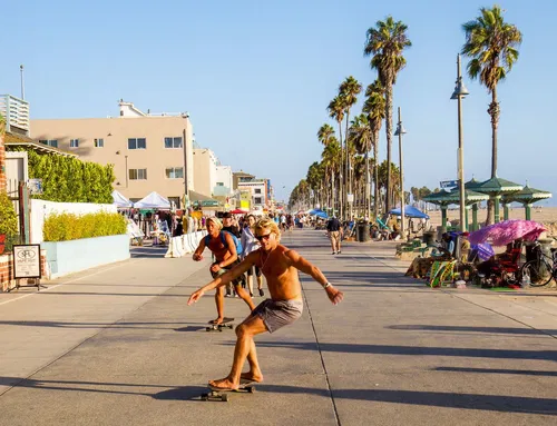 Image taken from https://www.lastartups.com/wp-content/uploads/2019/07/LA-Startups-Great-Things-To-Do-Near-Venice-Beach-a.jpg