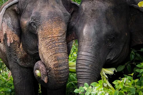 Image taken from https://images.dyvarcity.com/experience-images/dyvarcity_27ac641bc88a4766005580cd0_8a.jpg