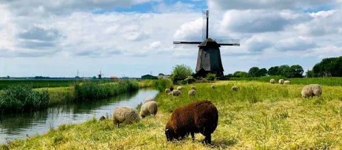 Image taken from https://www.hollandprivatetour.com/wp-content/uploads/2015/10/windmill_tour-705x311.jpg