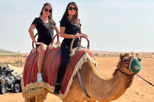 Image taken from https://images.dyvarcity.com/experience-images/dyvarcity_bd72c5d8a2bdfd1d7019e5458_d0.jpg