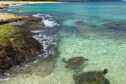 Image taken from https://dyvarcitymedia.b-cdn.net/experience-images/diskovery_559eaea68f49971cf959b3e6e_1751619820568_b4.jpg?format=webp&amp;width=800