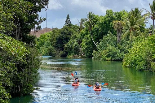 Image taken from https://dyvarcitymedia.b-cdn.net/experience-images/diskovery_559eaea68f49971cf959b3e6e_1751619820590_77.jpg?format=webp&amp;width=800