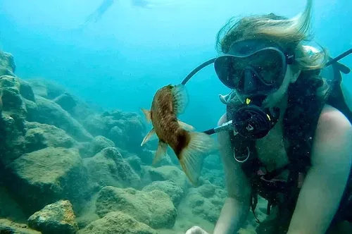 Image taken from https://images.dyvarcity.com/experience-images/dyvarcity_b5f814eec437f9e8f457551ca_e1.jpg?format=webp&amp;width=800