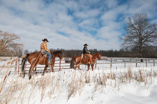 Image taken from https://dyvarcitydevmedia.b-cdn.net/experiences-images/dyvarcity_img_3d2987e29784e2f21623f5928_1742162170743_a9.jpg?format=webp&amp;width=800