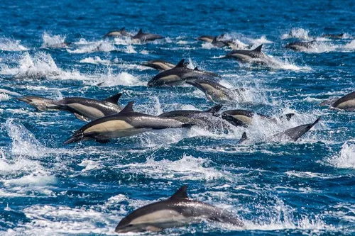 Image taken from https://dyvarcitymedia.b-cdn.net/experience-images/diskovery_e4742686a8f7b60e144161d12_1751628566098_8d.jpg?format=webp&amp;width=800