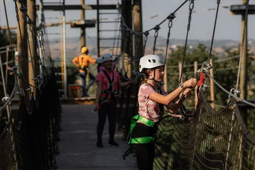 Image taken from https://highlineadventures.com/templates/yootheme/cache/2e/Highline-Adventures-Adventure-Course_003-2e2476d2.jpeg