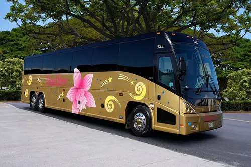 Image taken from https://dyvarcitymedia.b-cdn.net/experience-images/diskovery_f402f1f025604d2712e020116_1751629079892_6f.jpg?format=webp&amp;width=800