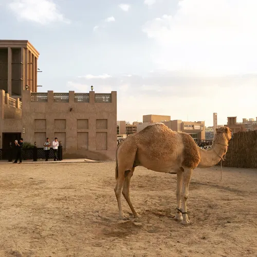 Image taken from https://mediaim.expedia.com/destination/2/fab226d8e4f7b6b1fb3297ff8236ba6c.jpg