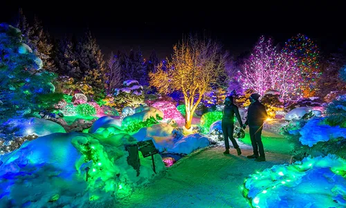 Image taken from https://offloadmedia.feverup.com/secretdenver.com/wp-content/uploads/2020/11/13043619/Blossoms-of-Light-at-Denver-Botanic-Gardens.jpg