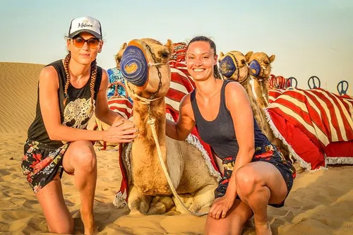 Image taken from https://images.dyvarcity.com/experience-images/dyvarcity_9a6e049e085f9936bf06d177d_91.jpg