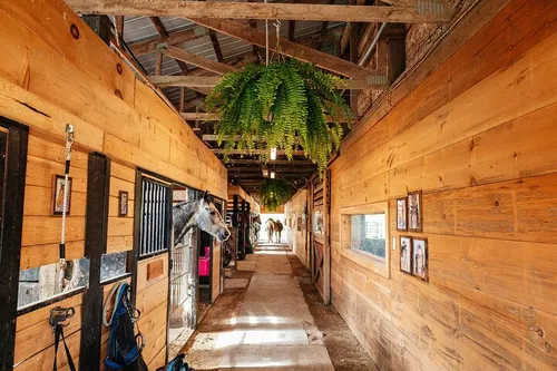 Image taken from https://dyvarcitydevmedia.b-cdn.net/experiences-images/dyvarcity_img_3d2987e29784e2f21623f5928_1742162170694_fb.jpg?format=webp&amp;width=800