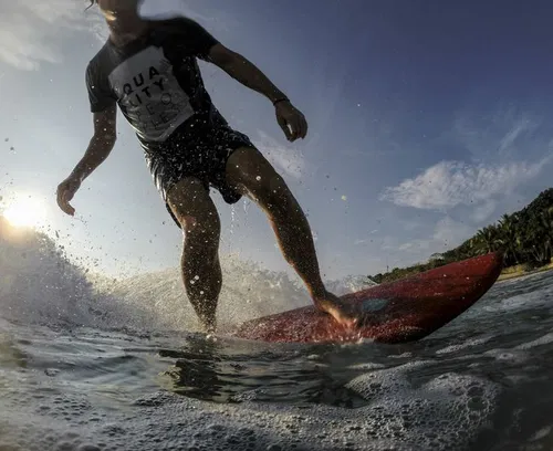 Image taken from https://i.pinimg.com/736x/e3/83/e5/e383e5d05d9c76c6340465dea13e6555.jpg