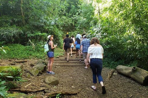 Image taken from https://dyvarcitymedia.b-cdn.net/experience-images/diskovery_38e5d979405964721d6303640_1751602024298_15.jpg?format=webp&amp;width=800