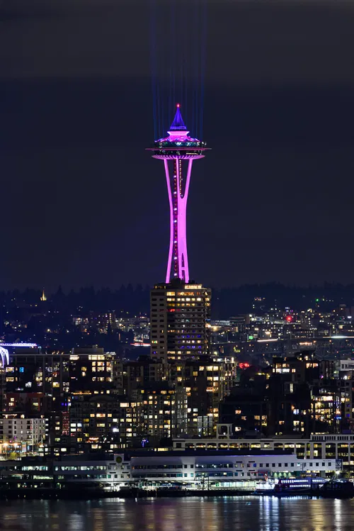 Image taken from https://cdn.geekwire.com/wp-content/uploads/2023/01/20221231_Space_Needle_Fireworks_04.jpg