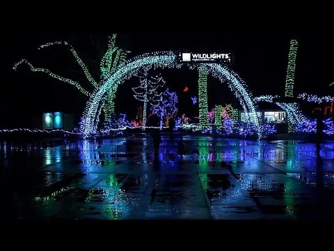 Image taken from https://i.ytimg.com/vi/FjLRwjvlZDw/hqdefault.jpg