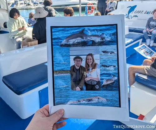 Image taken from https://thequietgrove.com/wp-content/uploads/2024/04/TheQuietGrove.Com-2024-04-15T114213.849.jpg