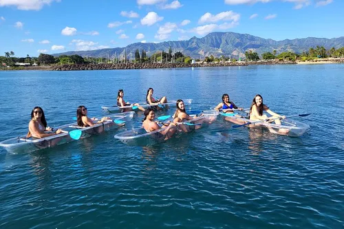 Image taken from https://dyvarcitydevmedia.b-cdn.net/experiences-images/dyvarcity_img_387ddf37406c934c06da38609_1741707217958_9d.jpg?format=webp&amp;width=800