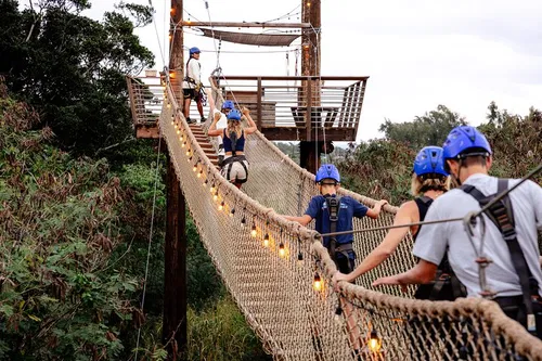 Image taken from https://dyvarcitymedia.b-cdn.net/experience-images/diskovery_881736091df1a65934aece158_1751625735320_4e.jpg?format=webp&amp;width=800