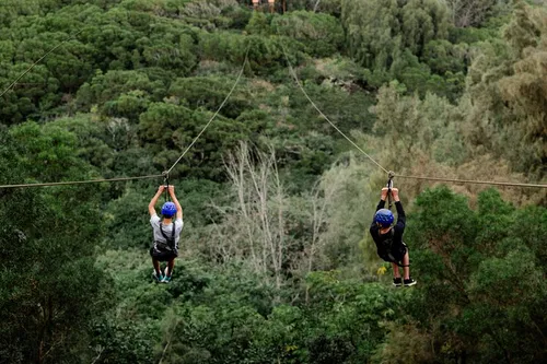 Image taken from https://dyvarcitymedia.b-cdn.net/experience-images/diskovery_881736091df1a65934aece158_1751625735322_f6.jpg?format=webp&amp;width=800