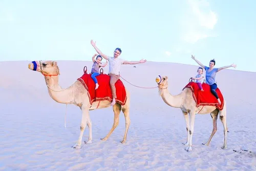 Image taken from https://images.dyvarcity.com/experience-images/dyvarcity_019272796c337409dd83c9d55_1f.jpg