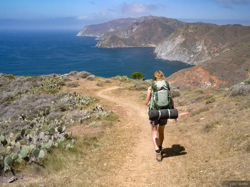 Image taken from https://www.mountainphotography.com/images/xl/20130412-Catalina-Hiking-13.jpg